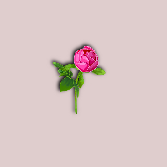 Single Peony Sticker